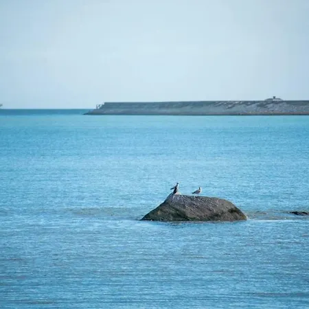 Seapoint Daire